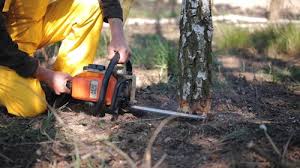 Best Utility Line Clearance  in Brownwood, TX
