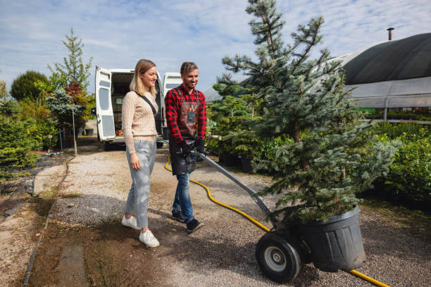 Best Tree and Shrub Care  in Brownwood, TX